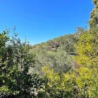 Island in Greece, Ionian Islands, Corfu, 35000 sq.m.