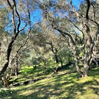 Island in Greece, Ionian Islands, Corfu, 35000 sq.m.