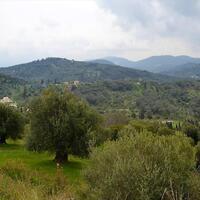 Island in Greece, Ionian Islands, Corfu, 6000 sq.m.