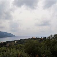 Island in Greece, Ionian Islands, Corfu, 6000 sq.m.