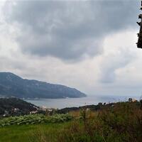 Island in Greece, Ionian Islands, Corfu, 6000 sq.m.