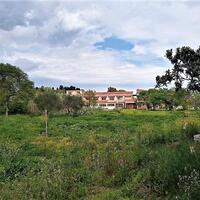 Island in Greece, Ionian Islands, Corfu, 800 sq.m.