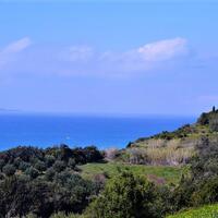 Island in Greece, Ionian Islands, Corfu, 12000 sq.m.