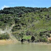 Island in Greece, Ionian Islands, Corfu, 12000 sq.m.