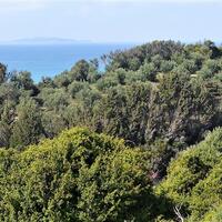 Island in Greece, Ionian Islands, Corfu, 12000 sq.m.
