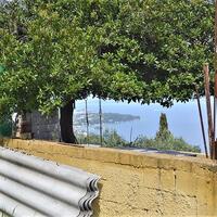Island in Greece, Ionian Islands, Corfu, 7000 sq.m.