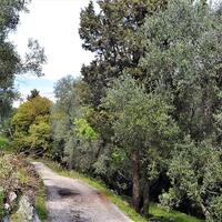 Island in Greece, Ionian Islands, Corfu, 7000 sq.m.