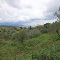 Island in Greece, Ionian Islands, Corfu, 4000 sq.m.