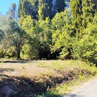 Остров в Греции, Ионические острова, Корфу, 2200 кв.м.