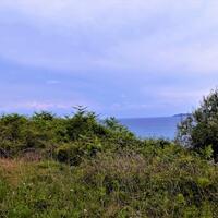 Island in Greece, Ionian Islands, Corfu, 6200 sq.m.