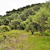 Island in Greece, Ionian Islands, Corfu, 6200 sq.m.