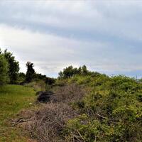 Island in Greece, Ionian Islands, Corfu, 6200 sq.m.