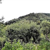 Island in Greece, Ionian Islands, Corfu, 5000 sq.m.