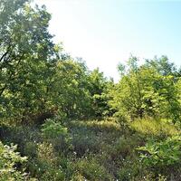 Island in Greece, Ionian Islands, Corfu, 4000 sq.m.