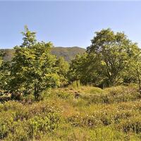 Island in Greece, Ionian Islands, Corfu, 4000 sq.m.