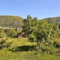 Island in Greece, Ionian Islands, Corfu, 4000 sq.m.