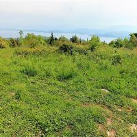 Island in Greece, Ionian Islands, Corfu, 2700 sq.m.