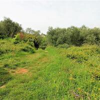 Island in Greece, Ionian Islands, Corfu, 2700 sq.m.