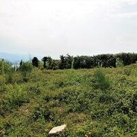 Island in Greece, Ionian Islands, Corfu, 2700 sq.m.