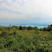 Island in Greece, Ionian Islands, Corfu, 2700 sq.m.
