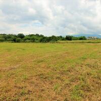 Island in Greece, Ionian Islands, Corfu, 2300 sq.m.