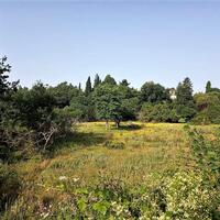 Island in Greece, Ionian Islands, Corfu, 2100 sq.m.