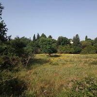 Island in Greece, Ionian Islands, Corfu, 2100 sq.m.