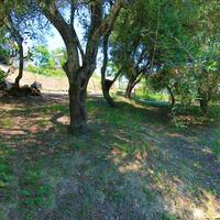 Island in Greece, Ionian Islands, Corfu, 1350 sq.m.