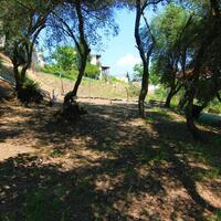 Island in Greece, Ionian Islands, Corfu, 1350 sq.m.