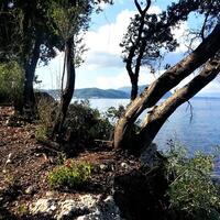 Island in Greece, Ionian Islands, Corfu, 33000 sq.m.