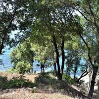 Island in Greece, Ionian Islands, Corfu, 33000 sq.m.