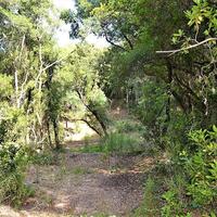 Island in Greece, Ionian Islands, Corfu, 33000 sq.m.