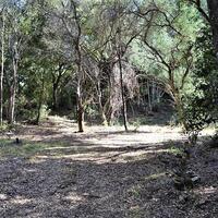 Island in Greece, Ionian Islands, Corfu, 33000 sq.m.