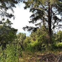 Island in Greece, Ionian Islands, Corfu, 33000 sq.m.