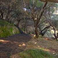 Island in Greece, Ionian Islands, Corfu, 76000 sq.m.