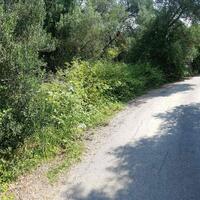 Island in Greece, Ionian Islands, Corfu, 4000 sq.m.