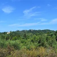 Остров в Греции, Ионические острова, Корфу, 9359 кв.м.