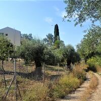 Остров в Греции, Ионические острова, Корфу, 9359 кв.м.