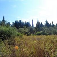 Остров в Греции, Ионические острова, Корфу, 9359 кв.м.