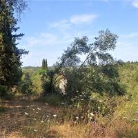 Остров в Греции, Ионические острова, Корфу, 9359 кв.м.