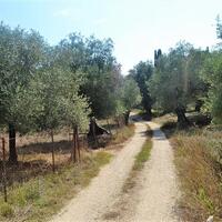 Остров в Греции, Ионические острова, Корфу, 9359 кв.м.