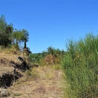 Остров в Греции, Ионические острова, Корфу, 4343 кв.м.