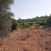 Остров в Греции, Ионические острова, Корфу, 4600 кв.м.