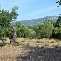 Остров в Греции, Ионические острова, Корфу, 30000 кв.м.