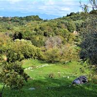 Остров в Греции, Ионические острова, Корфу, 1210 кв.м.