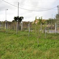 Остров в Греции, Ионические острова, Корфу, 900 кв.м.
