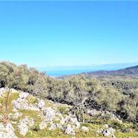 Island in Greece, Ionian Islands, Corfu, 8000 sq.m.