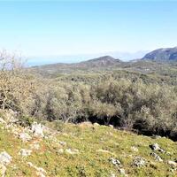 Island in Greece, Ionian Islands, Corfu, 8000 sq.m.