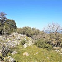 Island in Greece, Ionian Islands, Corfu, 8000 sq.m.