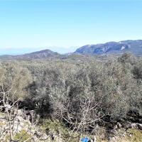 Island in Greece, Ionian Islands, Corfu, 8000 sq.m.